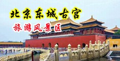 我想看黑丝美女跳蛋黄色网站中国北京-东城古宫旅游风景区